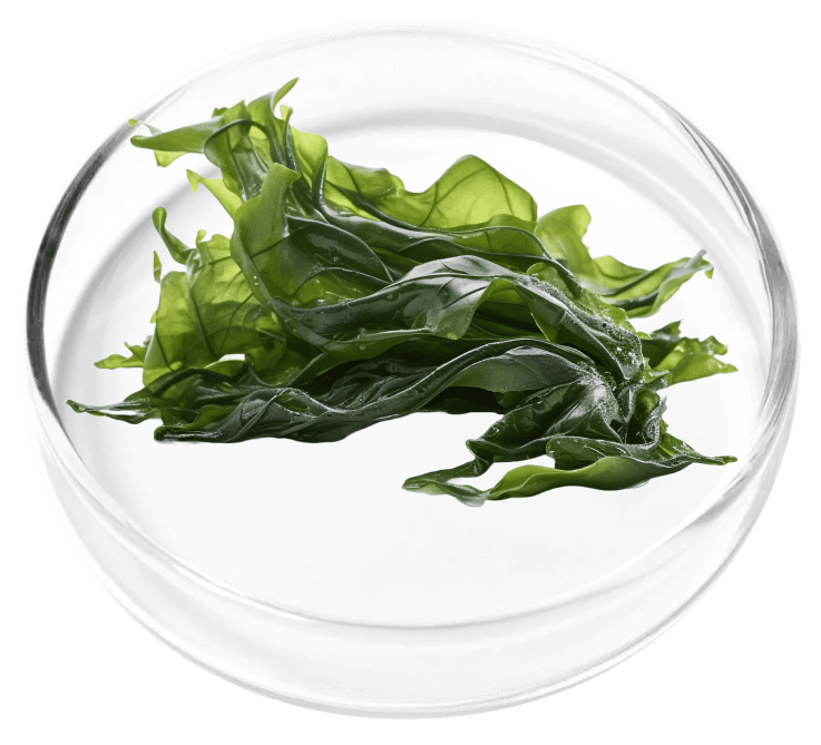 ingredient2