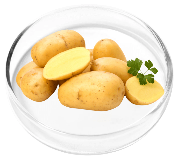 ingredient3