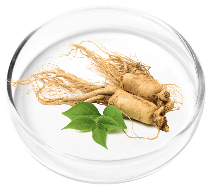 ingredient8