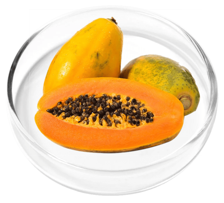 ingredient9