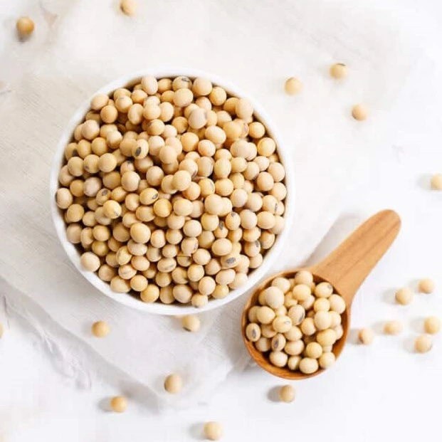 2025-02-Phosphatidylserine-pic-1